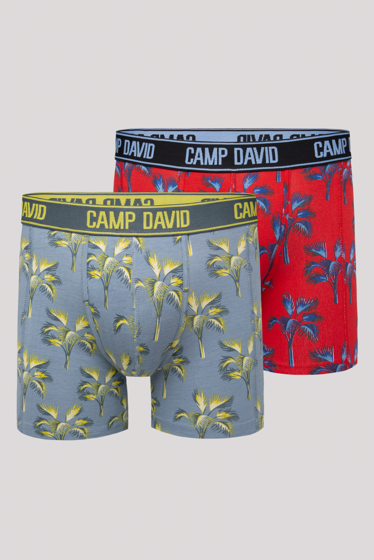 Boxershorts mit All Over Print, 2er-Pack surf grey / red