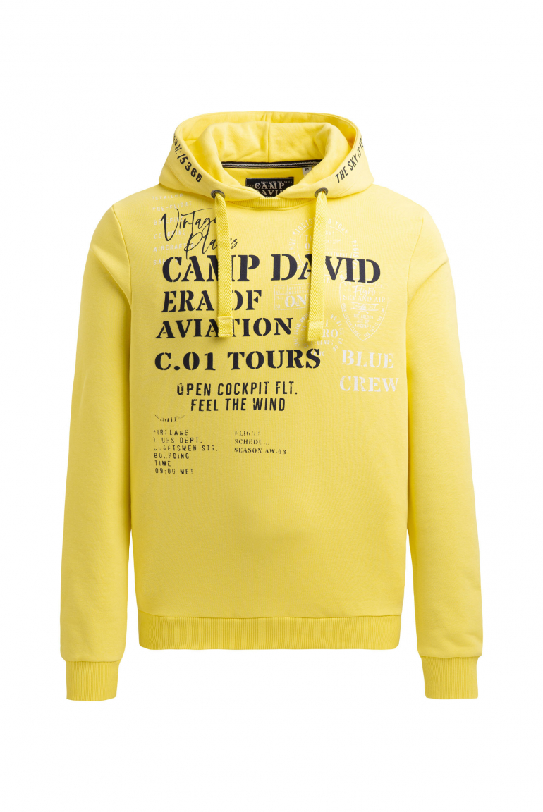 Hoodie mit Puffprint