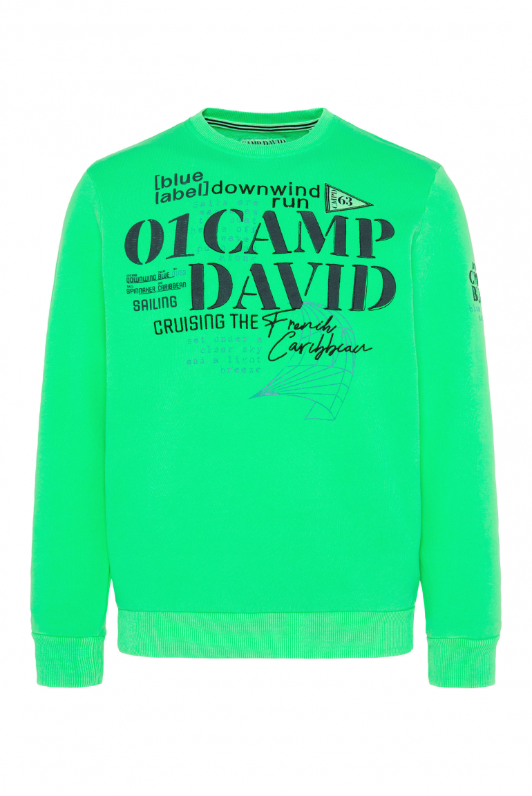 Sweatshirt mit Prints und Stickereien electric green