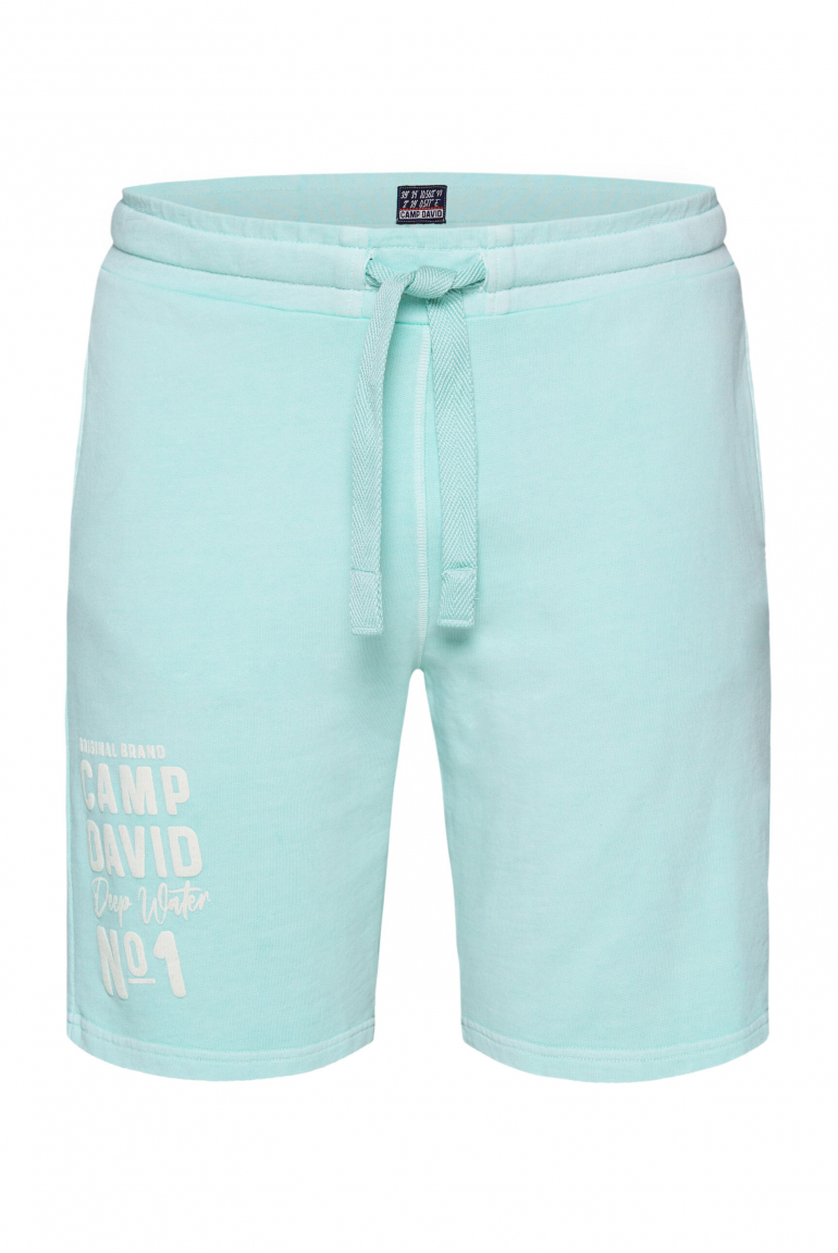 Sweatshorts mit Logo-Puff-Print sea mint