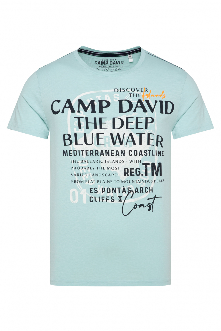 T-Shirt mit Print-Artworks sea mint