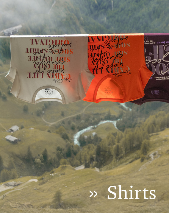 2 Shirts hängend mit Berglandschaft